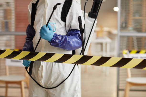 Professional Hoarding Cleanup technician working in Williamsburg, VA